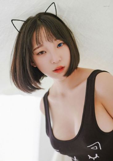 贤者之爱电视剧完整版免费观看