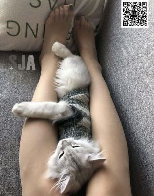 生活中的玛丽在线播放