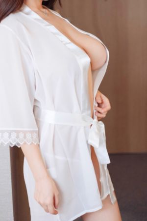 哥斯拉2怪兽之王